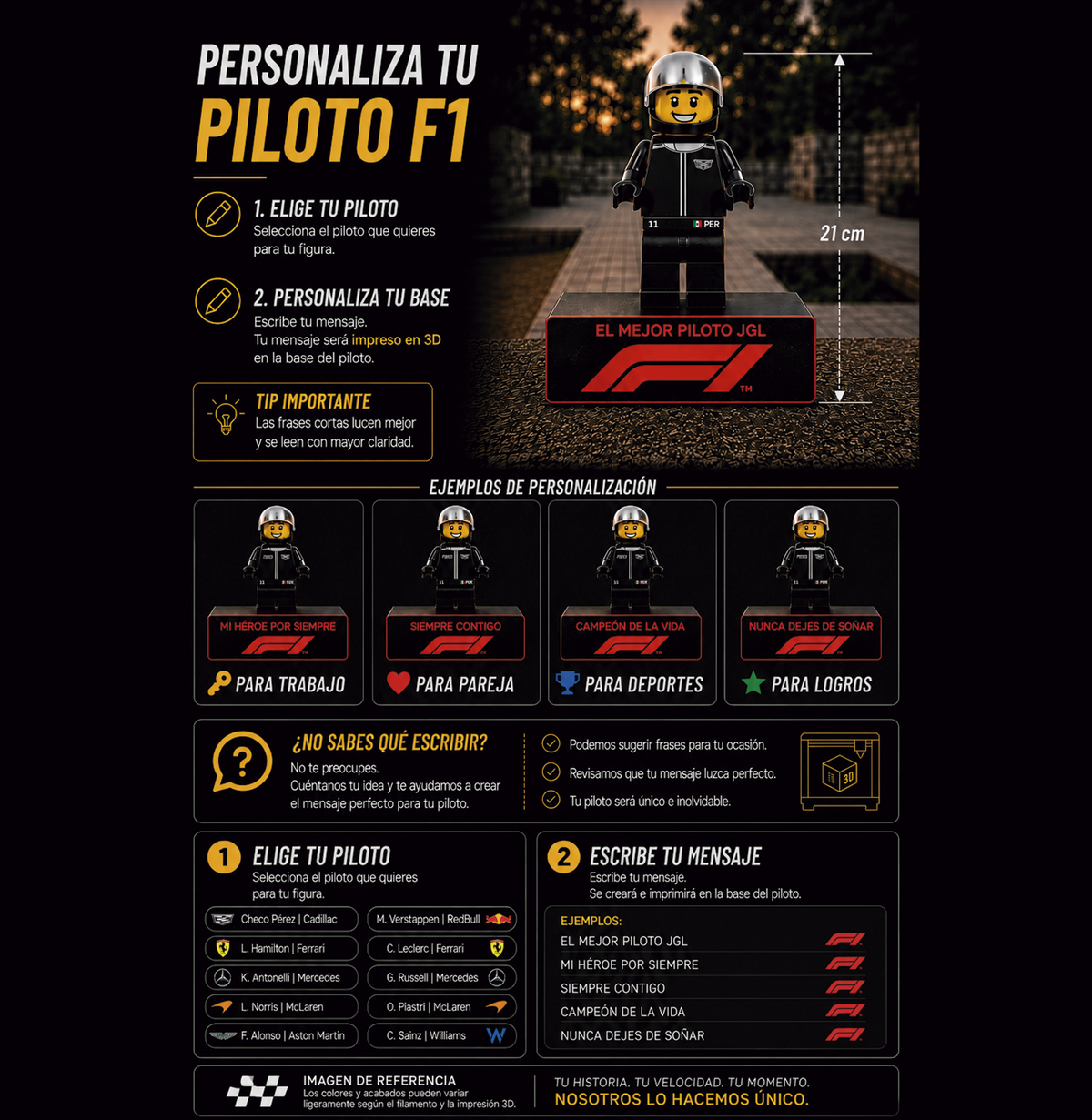 Piloto F1 Personalizado